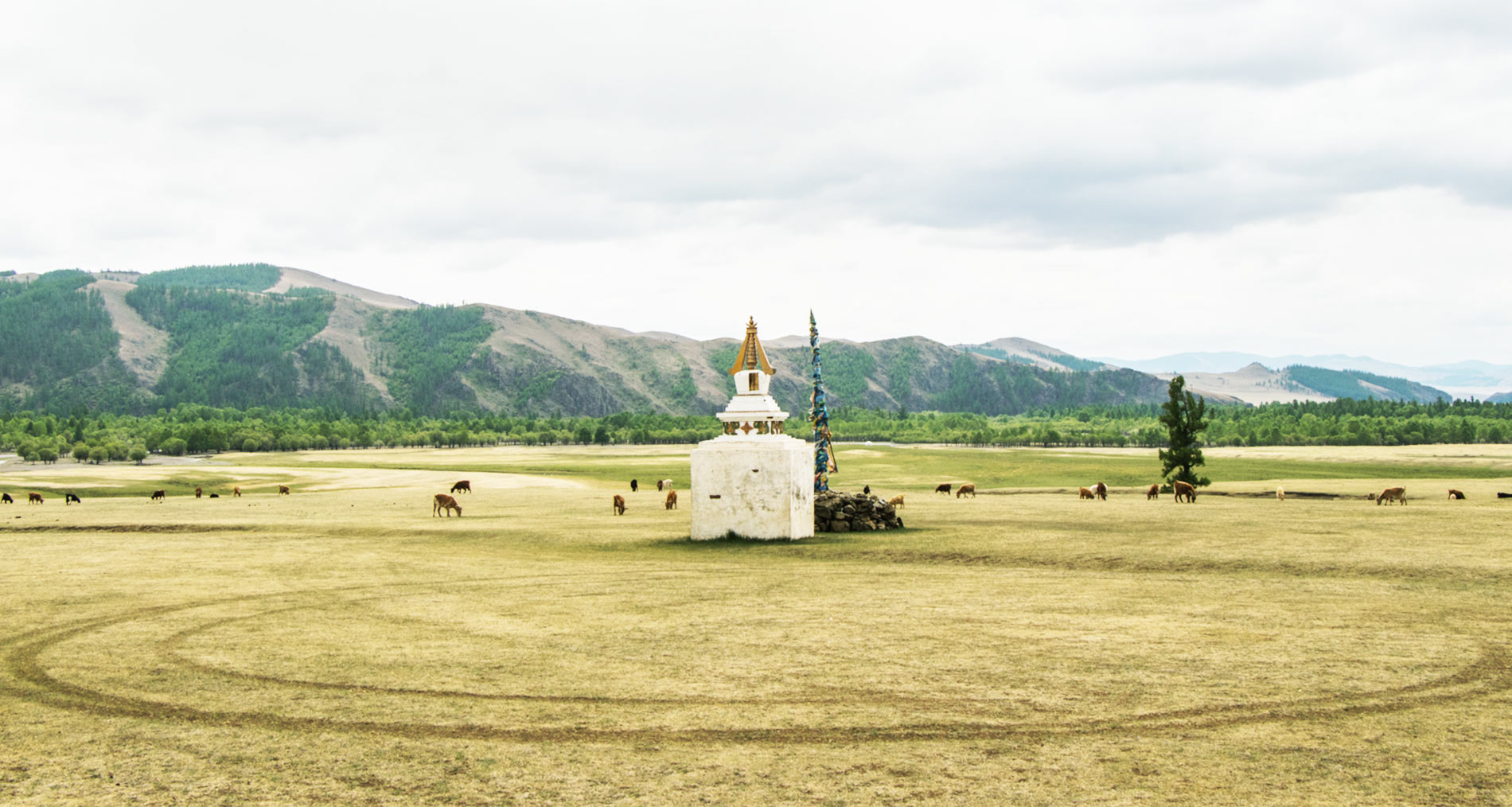11Spirituel stupa en Terelj