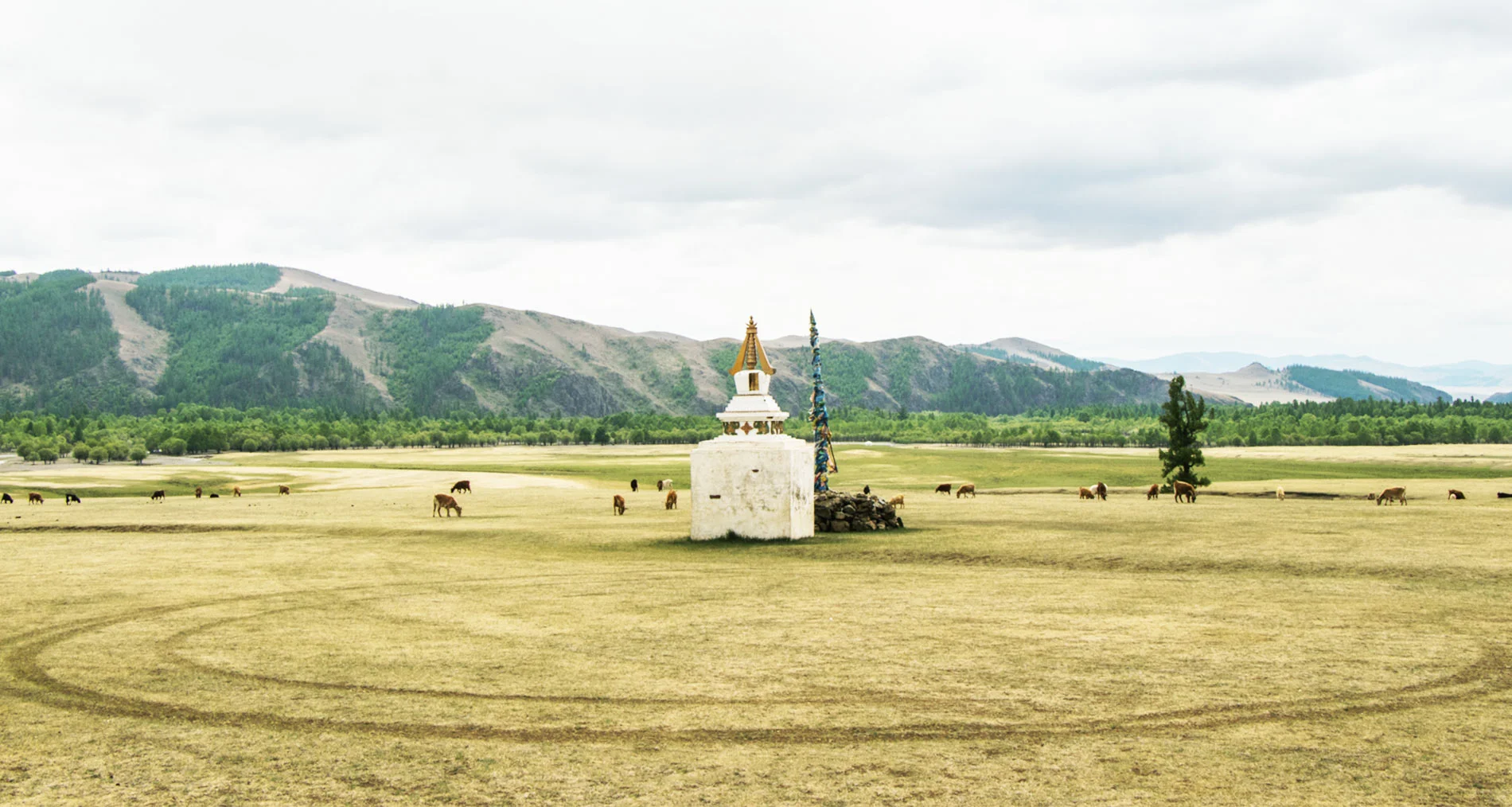 Spirituel stupa en Terelj